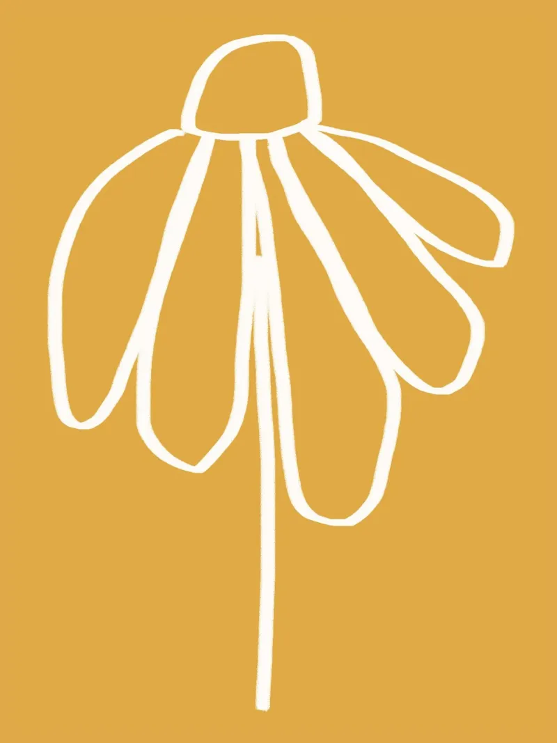 Minimal Flora - daisy yellow pellicola backlit da Gale Switzer