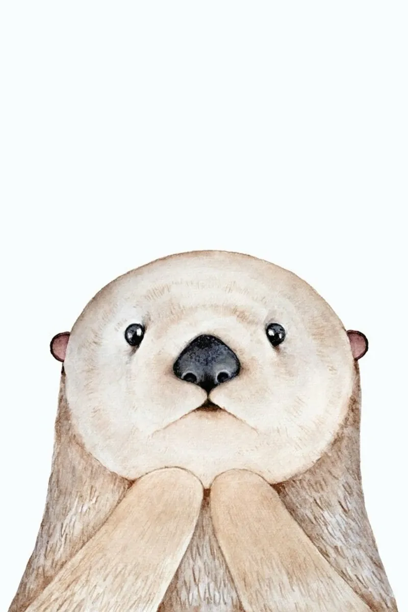 Olle The Otter poster da Little Flourishes