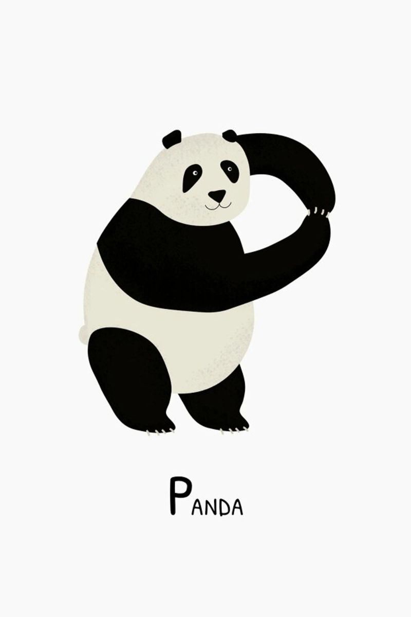 P for Panda pellicola backlit da Little Flourishes