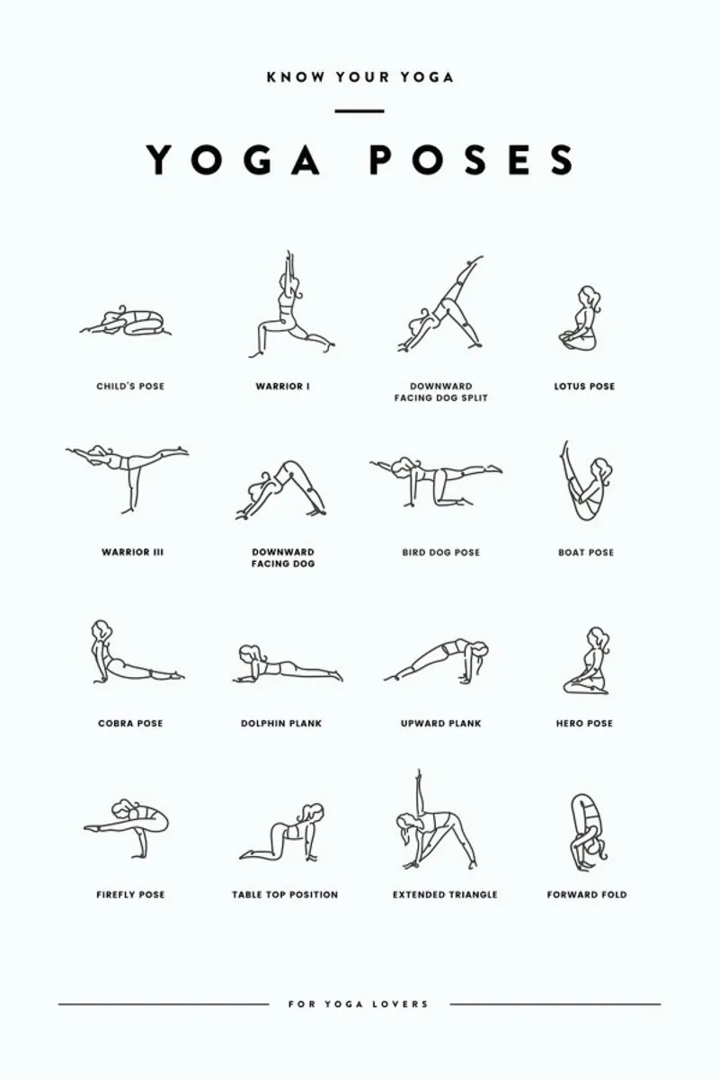 Yoga Chart pellicola backlit da daylight design studio