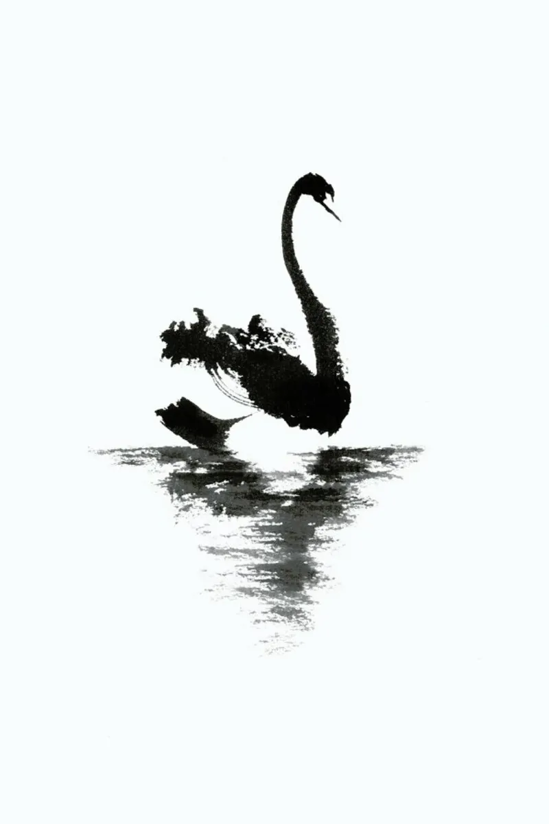 Black Swan II pellicola backlit da Flora & Fauna