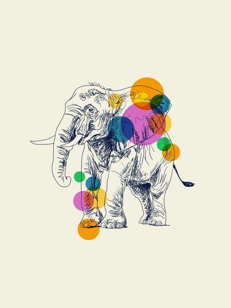 Elephant in Color pellicola backlit da Indigo Rain