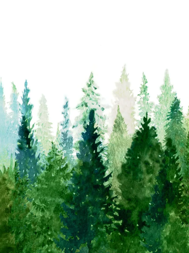 Pine Trees 2 pellicola backlit da Nadjaa