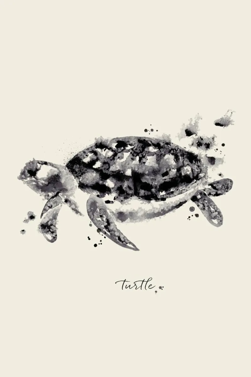 Ink Turtle plexiglass da Flora & Fauna