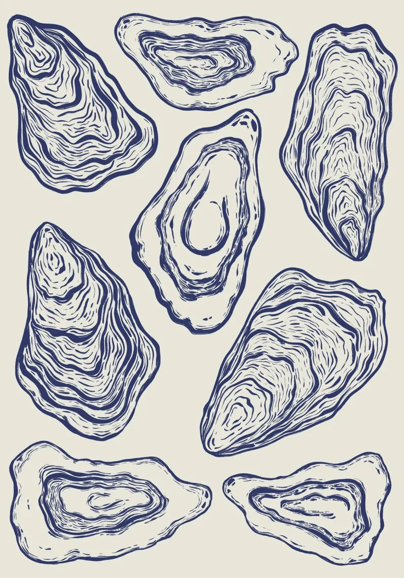 Illustrazione Oyster n°02 poster con telaio in legno da Sixmai