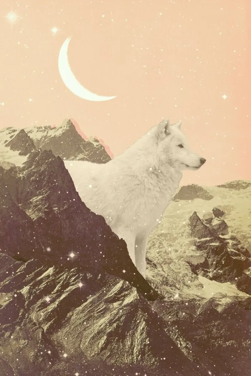 Giant White Wolf In Mountains pellicola backlit da Florent Bodart