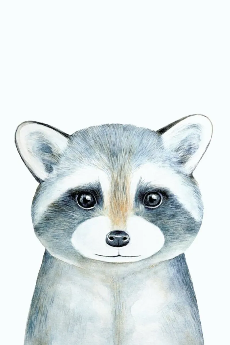 Ronnie The Racoon poster con telaio in plastica da Little Flourishes