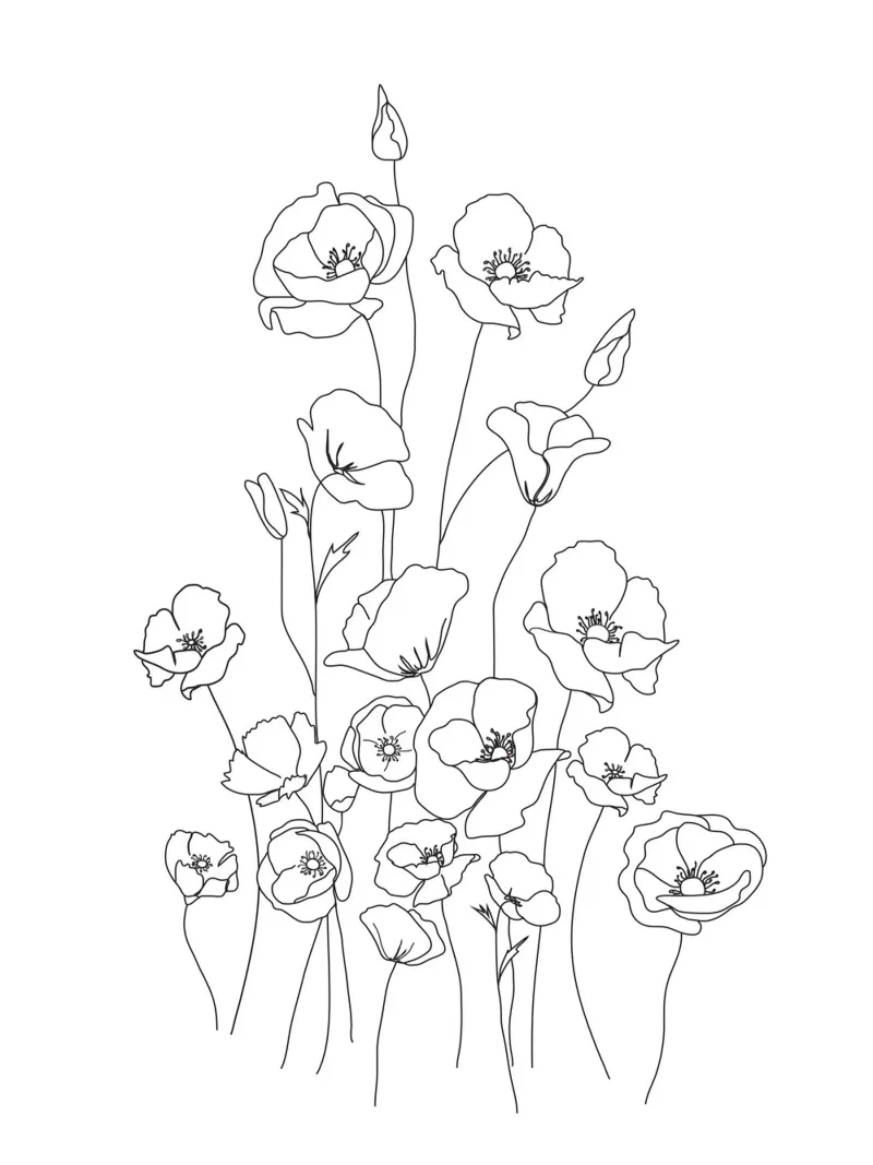 Poppy Flowers Line Art poster by Nadjaa
