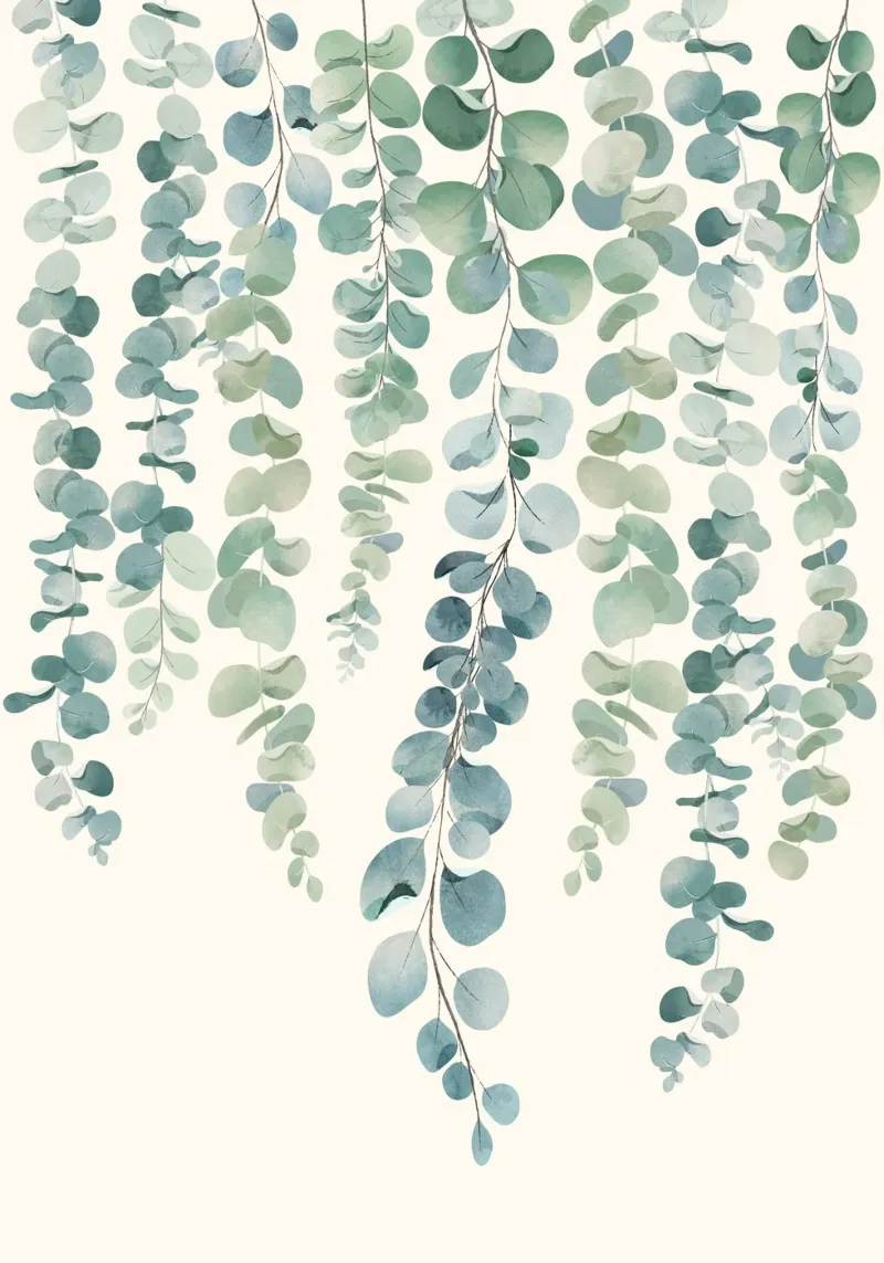 Watercolor Eucalyptus Leaves pellicola backlit da Nadjaa