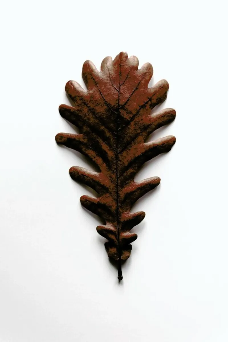 Shapes - Grafic Oak Leaf pellicola backlit da Studio Nahili