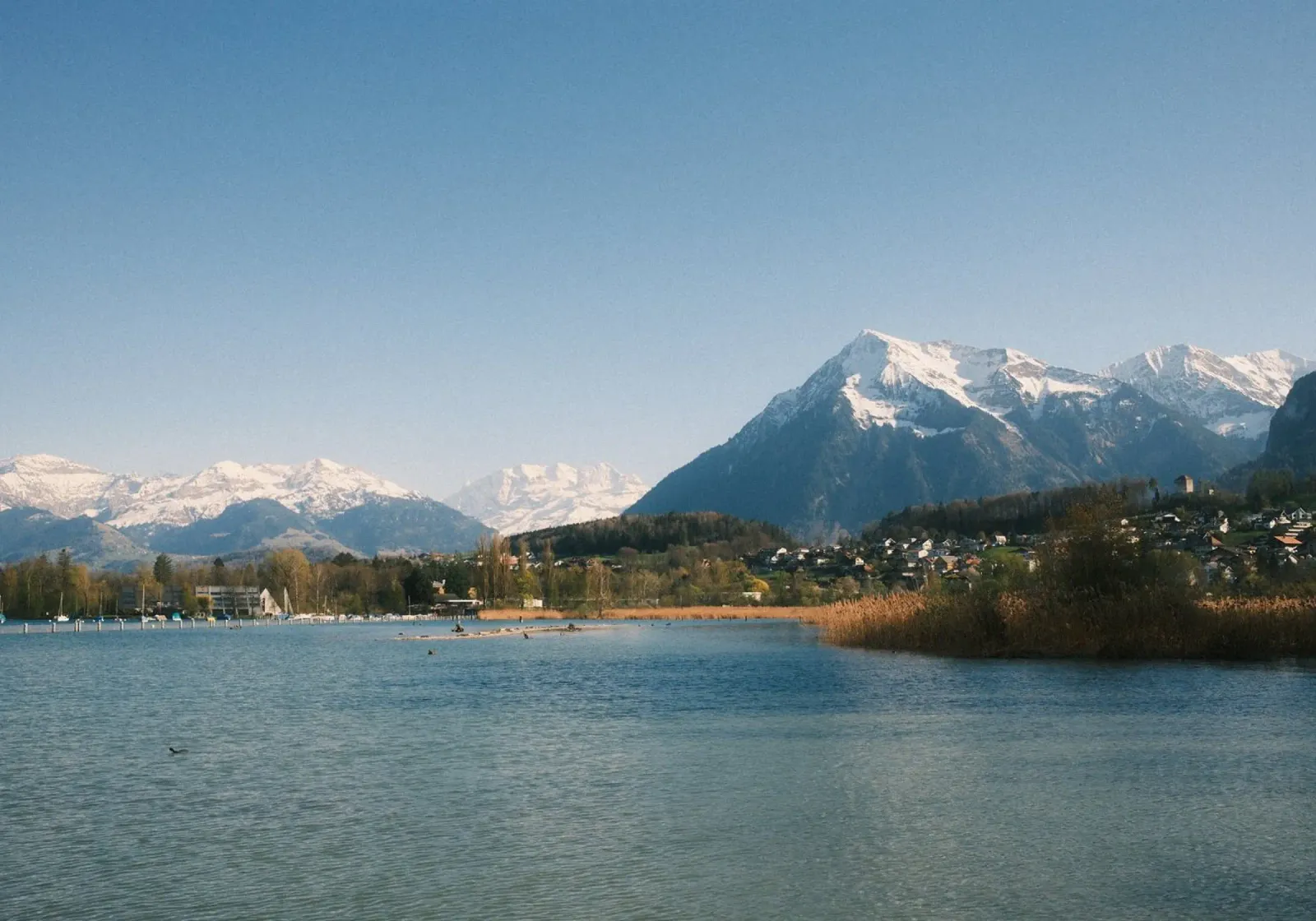 Spring Calm at the Foot of the Niesen pellicola backlit da FujiSwiss