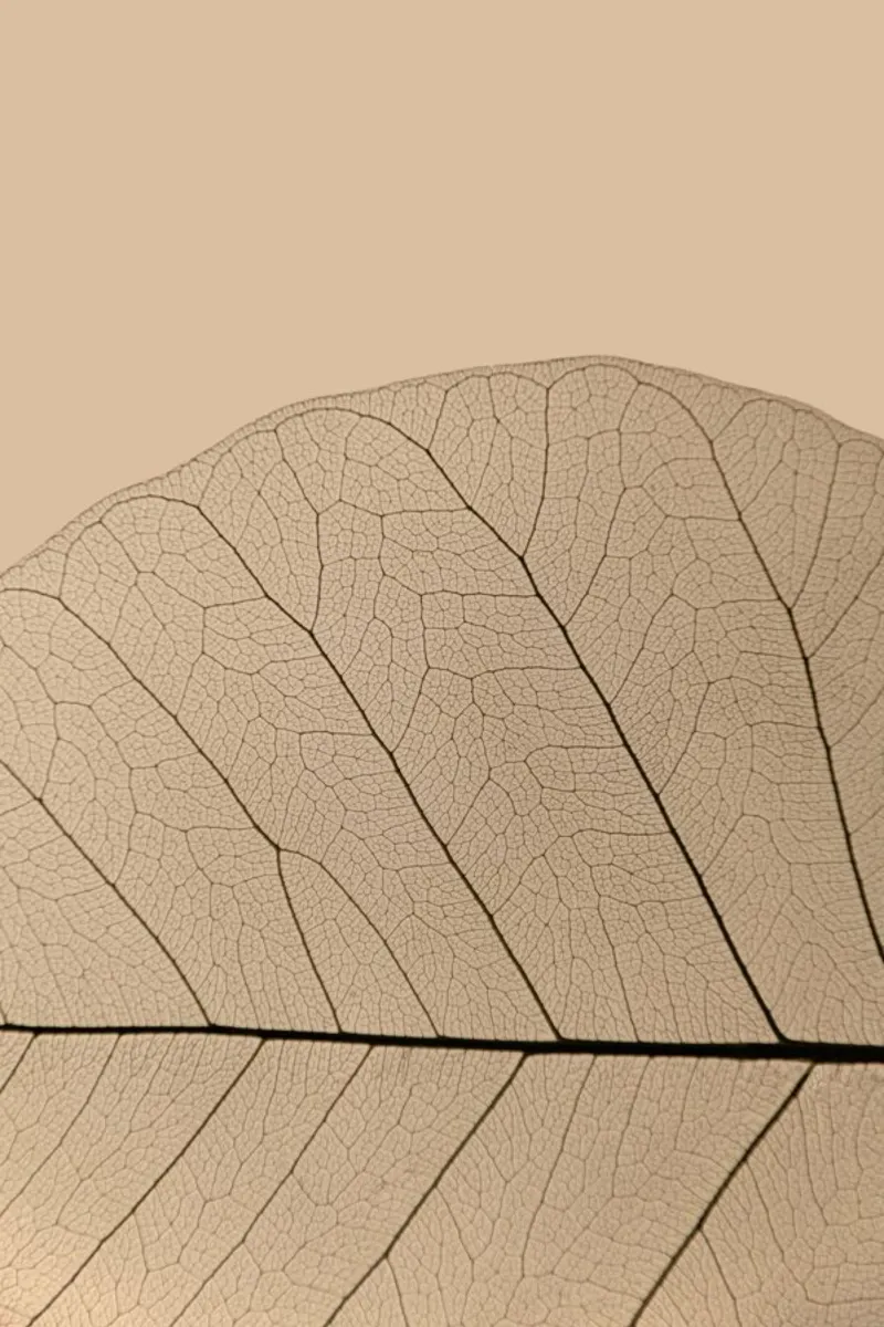 Veins of Life 3 - Champagne Hues alu-dibond by Studio Nahili