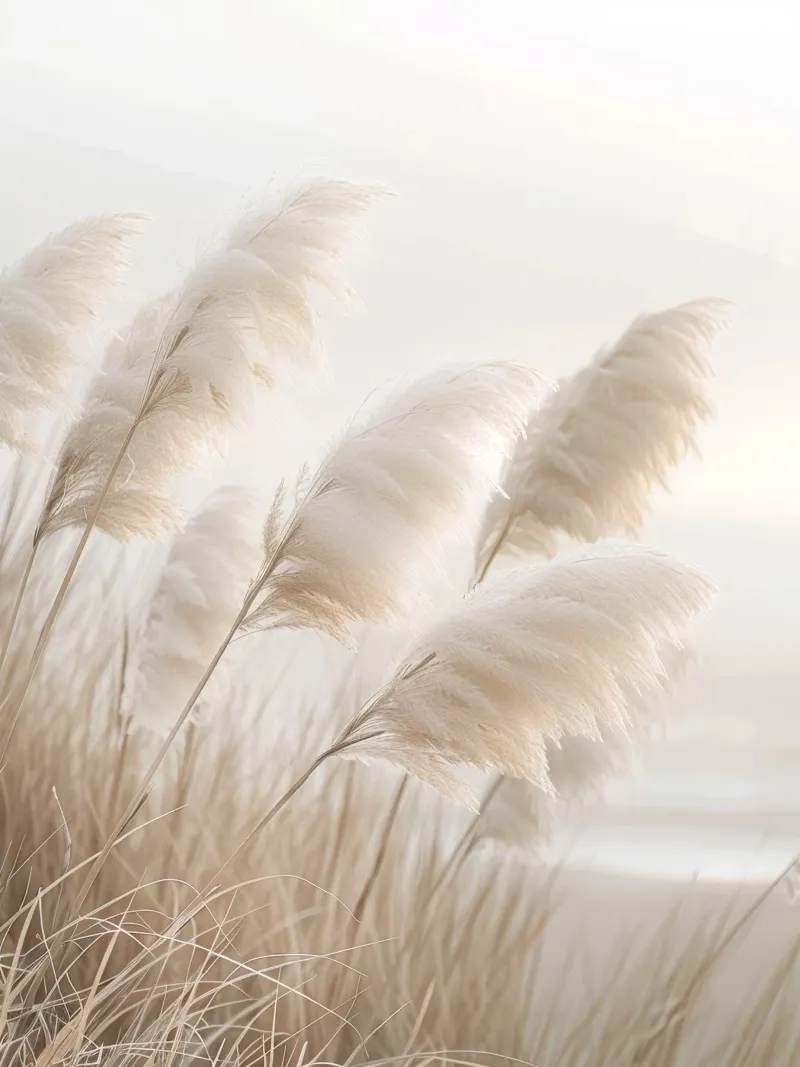 Poesia in riva al mare - L'erba della Pampa carta hahnemühle da Melanie Viola