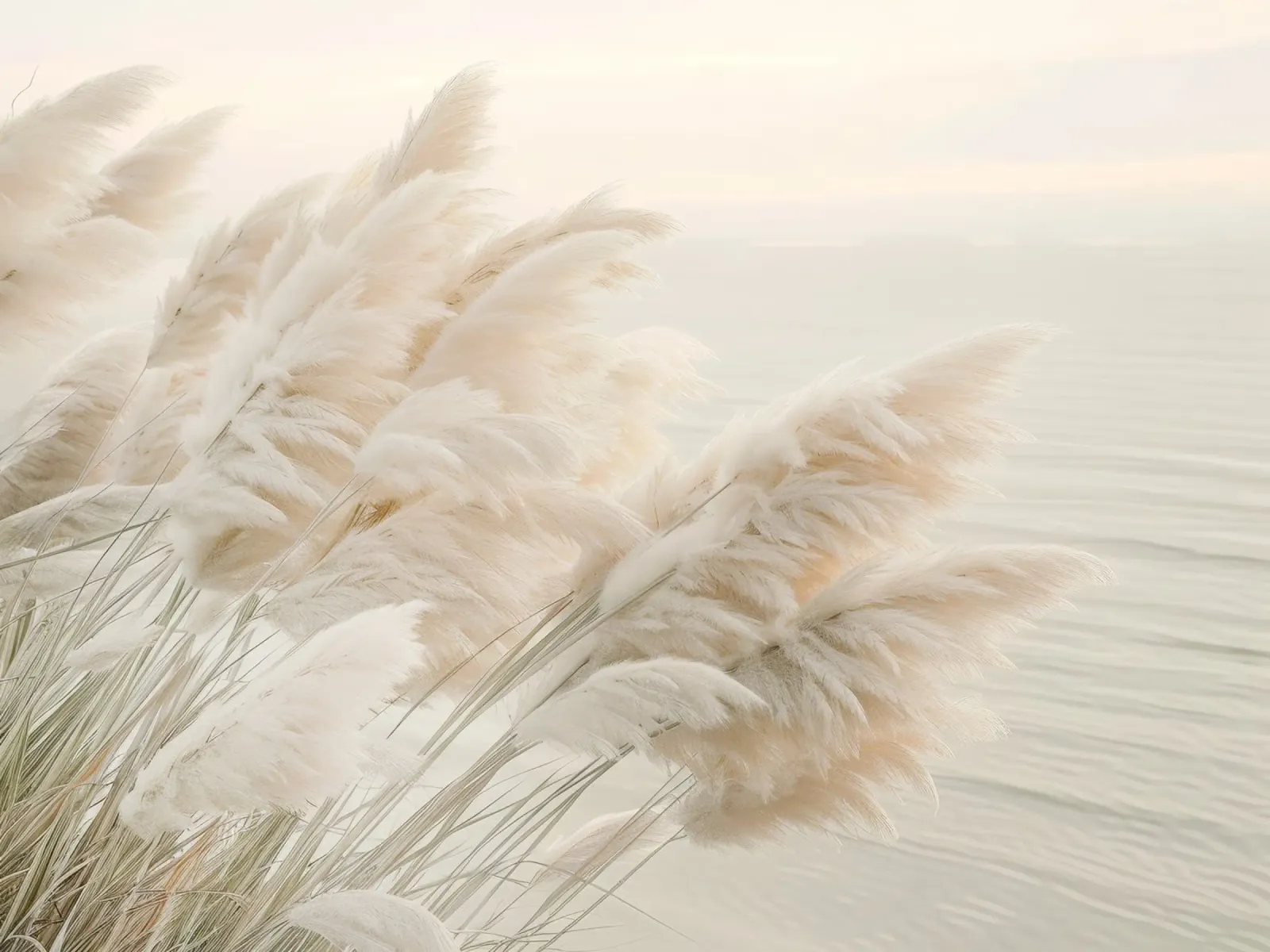 Poesie am Meer – Pampasgras am Abend Hahnemühle von Melanie Viola