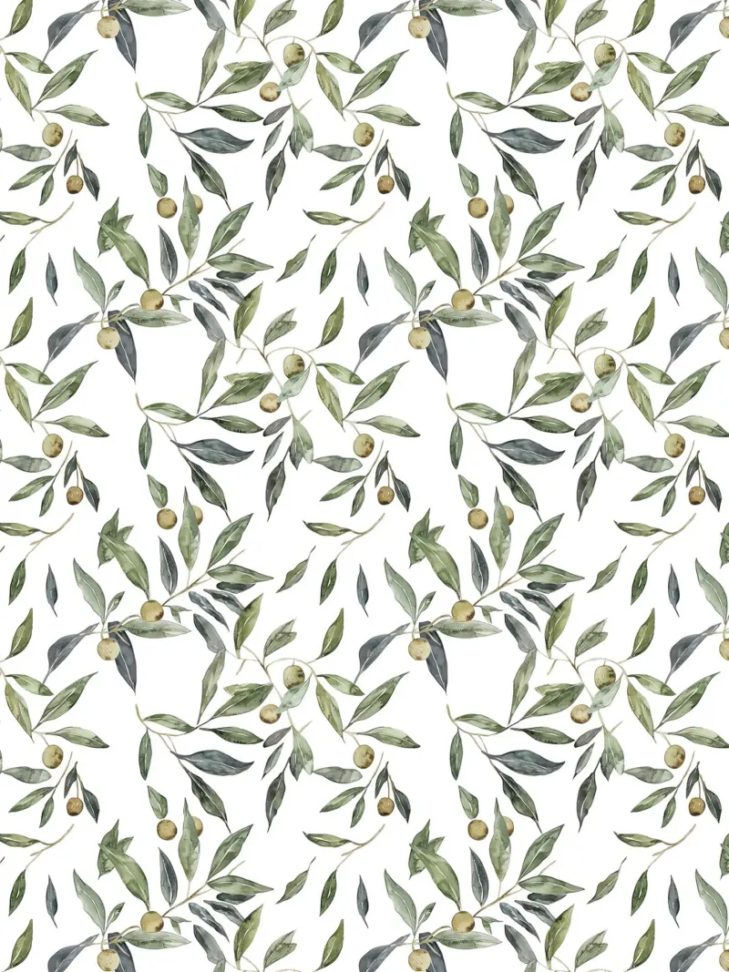 Art mural vintage Branches d'oliviers, verdure botanique italienne hahnemühle de Gentle Echoes Art