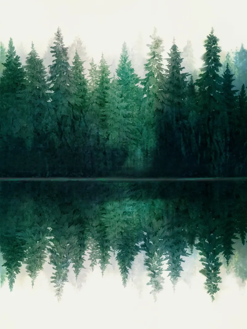 Reflection alluminio dibond da Nadjaa