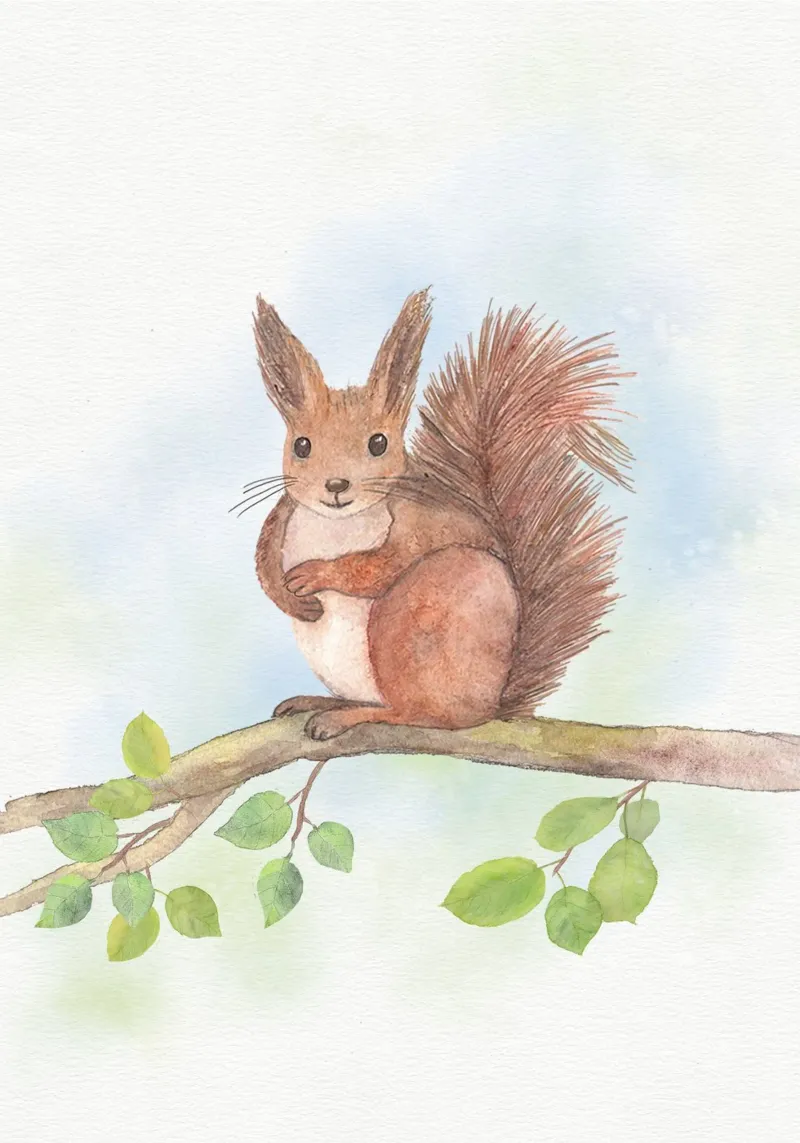 Eichhörnchen auf Ast alluminio dibond da Farbwelten