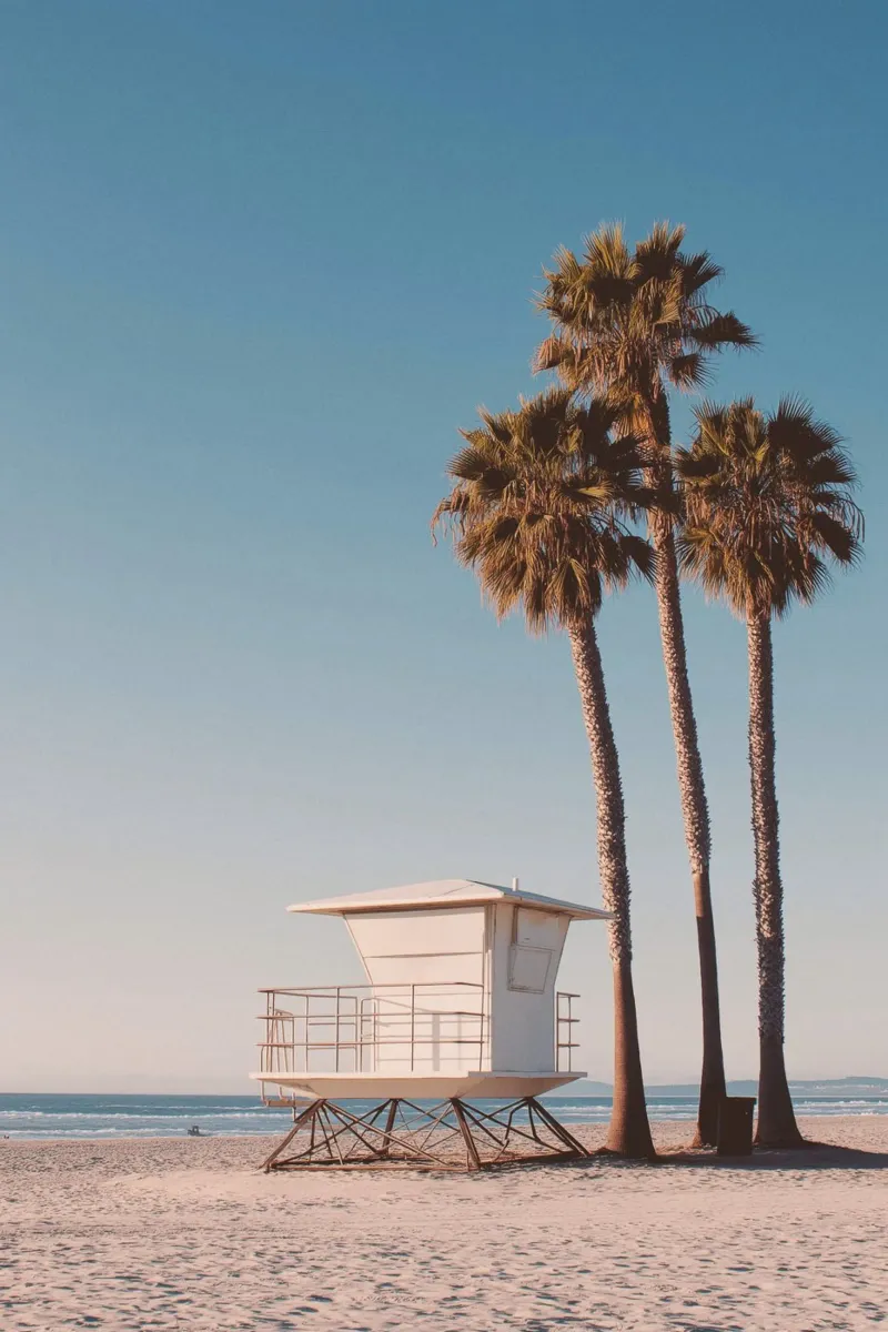 Lifeguard Tower and Palm Trees canvas by Indigo Tides Art