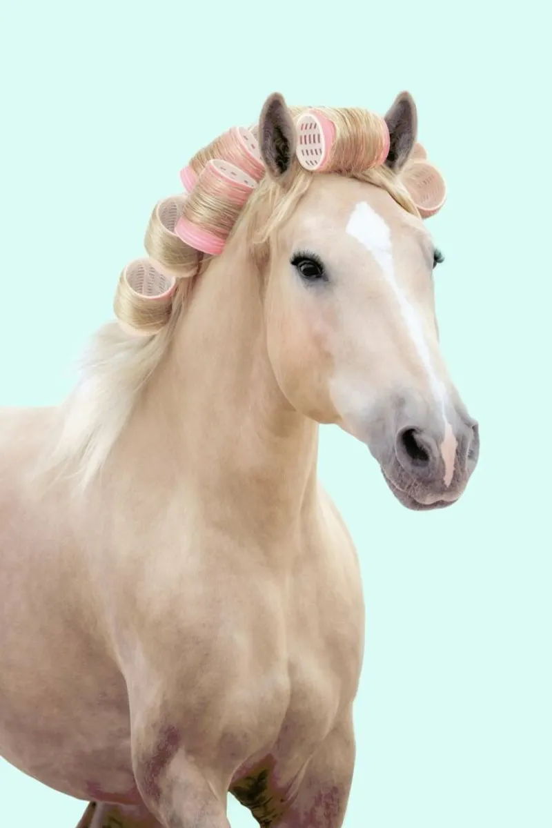 Curly Horse poster con telaio in plastica da Paul Fuentes Design