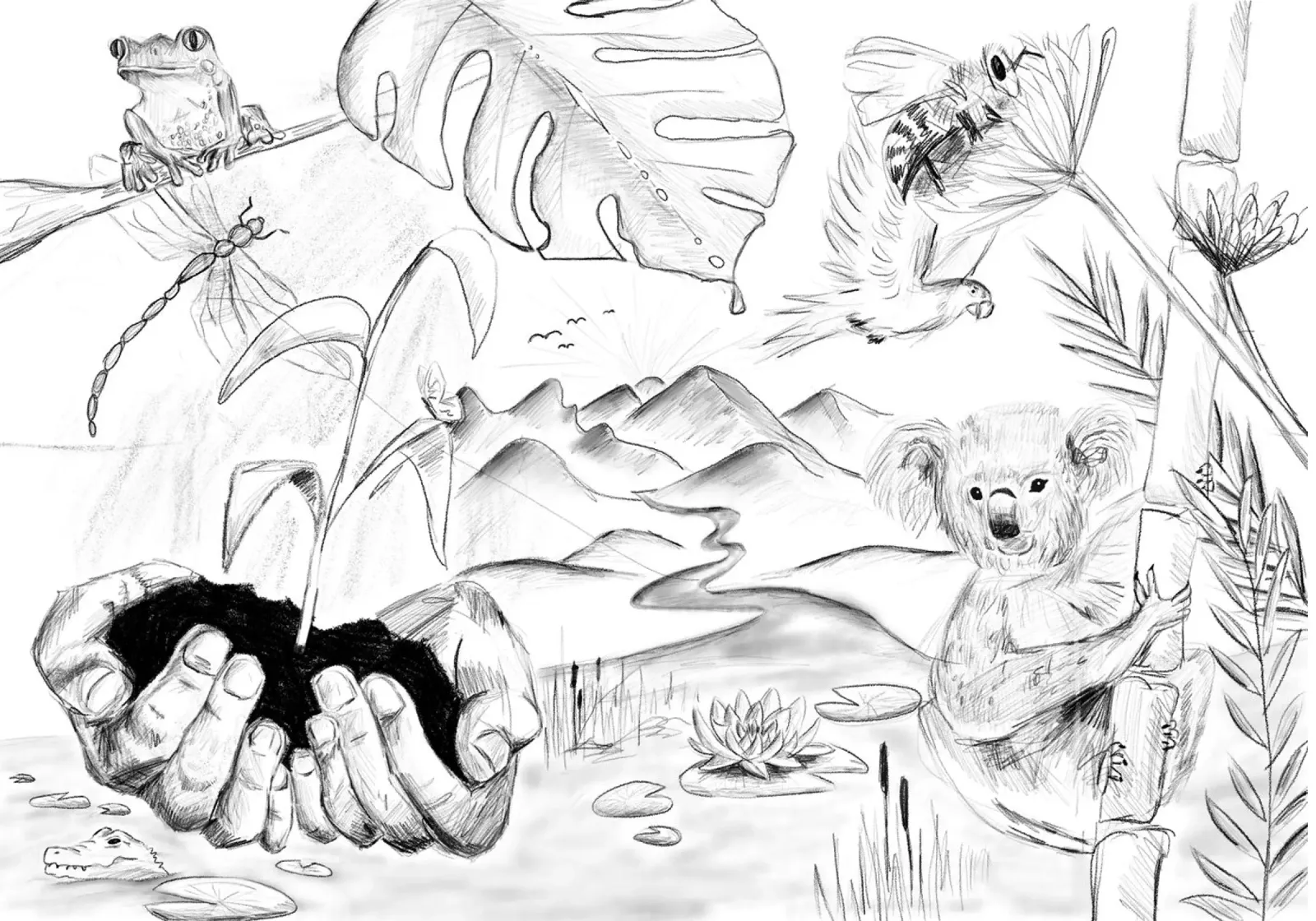 Nature in scribbles carta hahnemühle da She‘s drawing