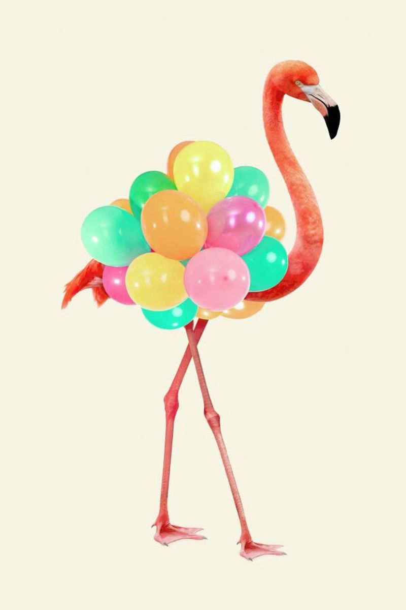 Flamingo Party pellicola backlit da Paul Fuentes Design