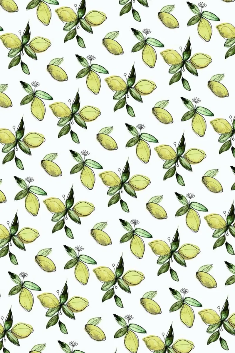 Citrus carta hahnemühle da Sabrina Ziegenhorn