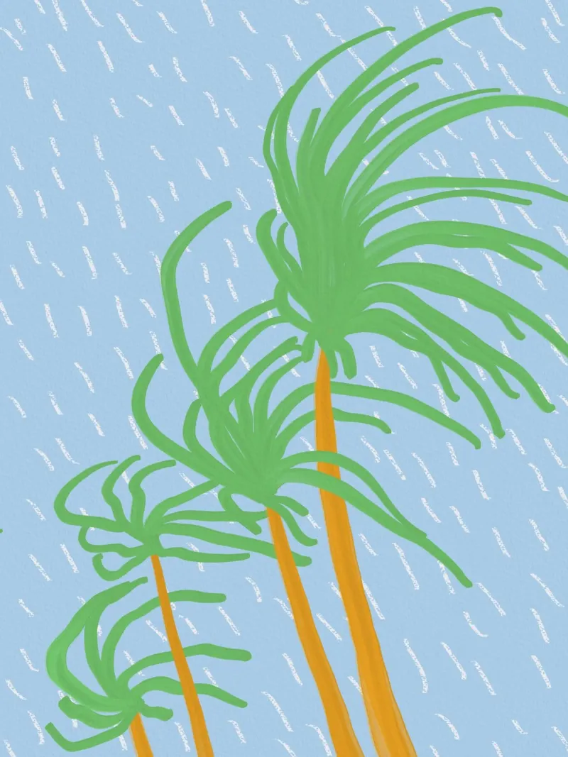 Beach palm swaying in the wind 02 poster with plastic frame by Little Dean