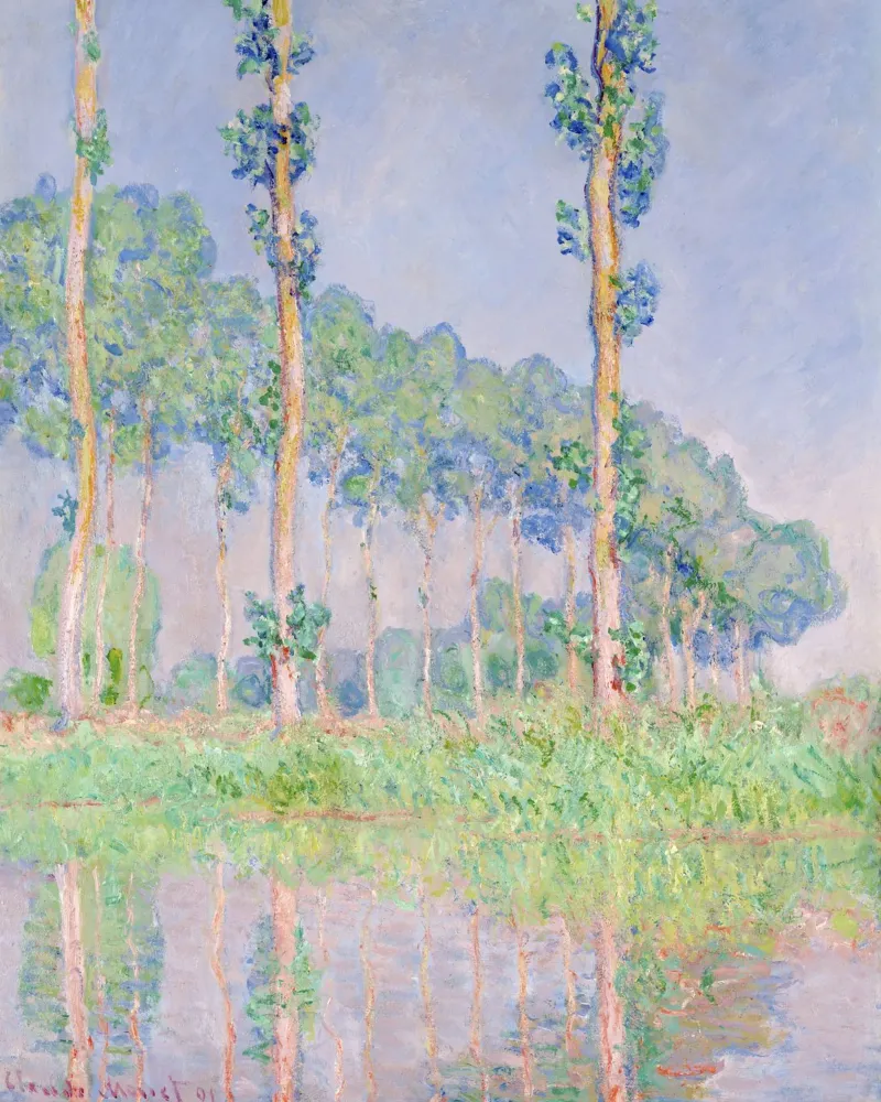 Claude Monet's Poplars, Pink Effect (1891) pellicola backlit da Venus Art
