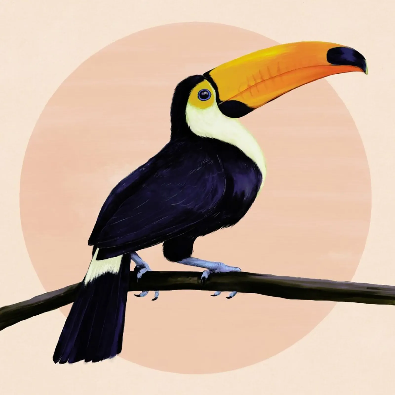 Tropical Tucan poster con marco de aluminio de Laura Graves