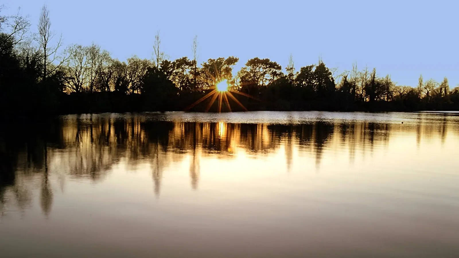 FAA301. A MOMENT OF MEDITATION. pellicola backlit da Thierry vobmann photography