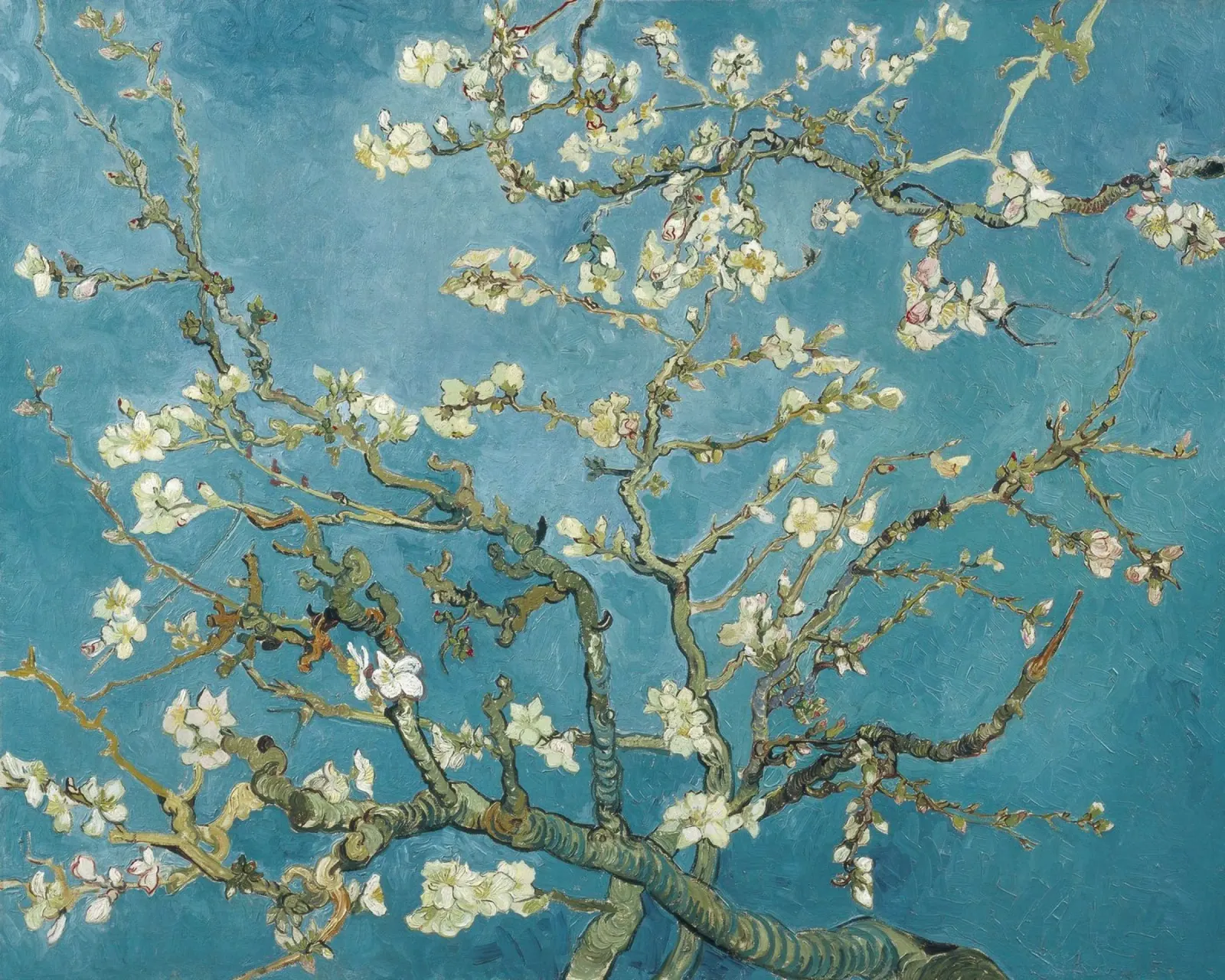 Van Gogh - Mandorlo in fiore poster con telaio in plastica da Second Canvas