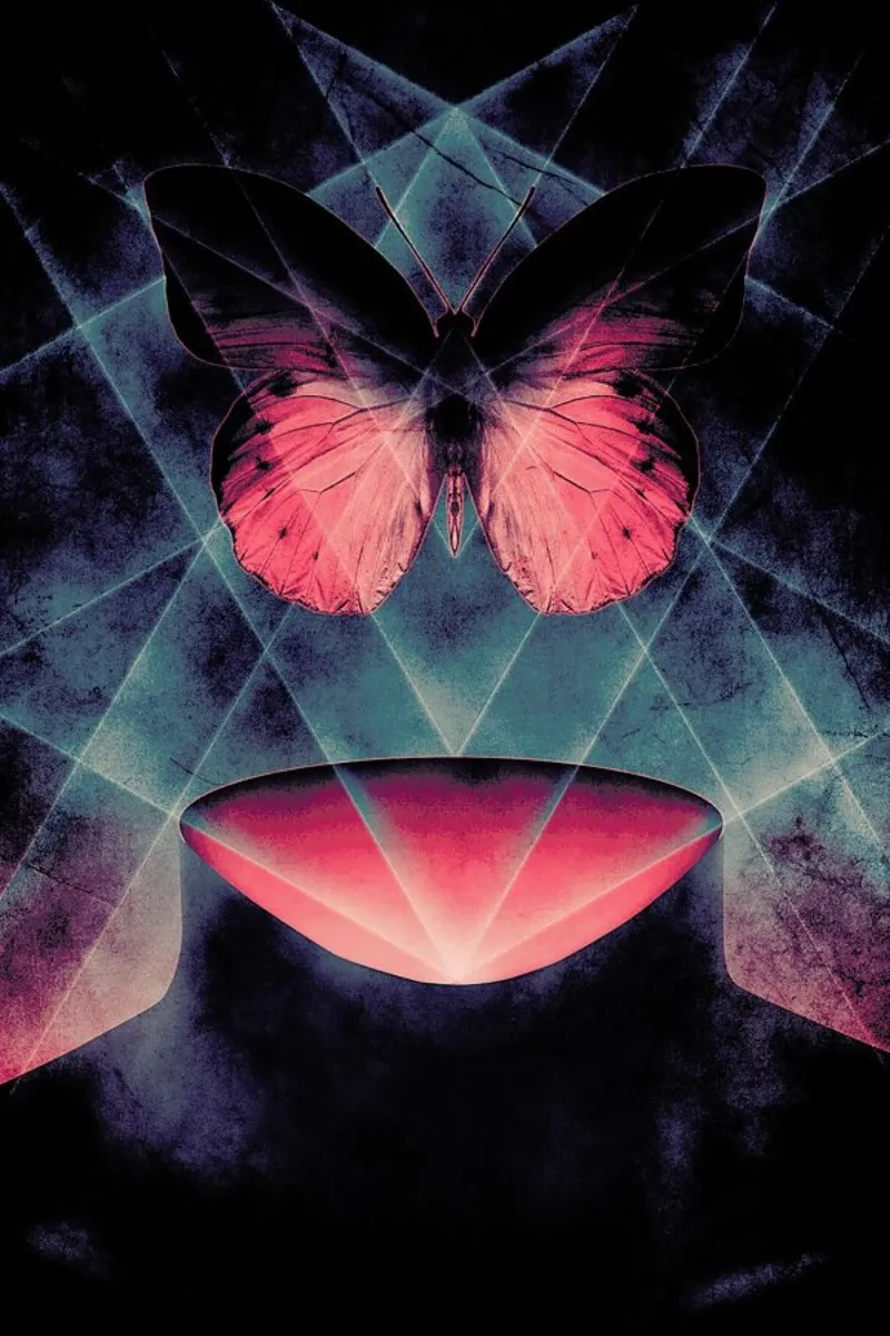 Butterfly Beautiful Symmetry poster by Barrett Biggers