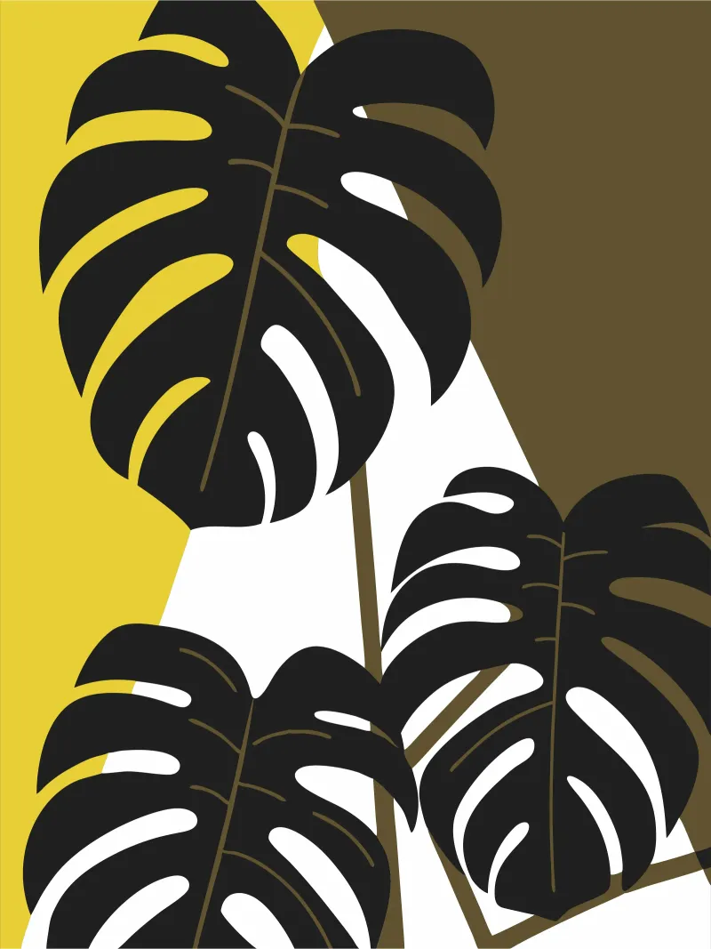 Pianta Monstera pellicola backlit da LOOK DIFFERENT