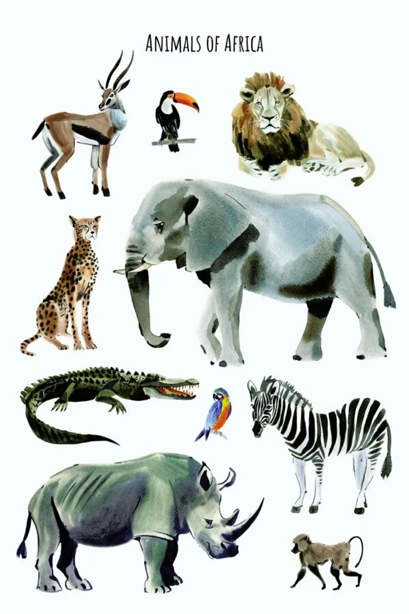 Animals of Africa poster by Little Flourishes