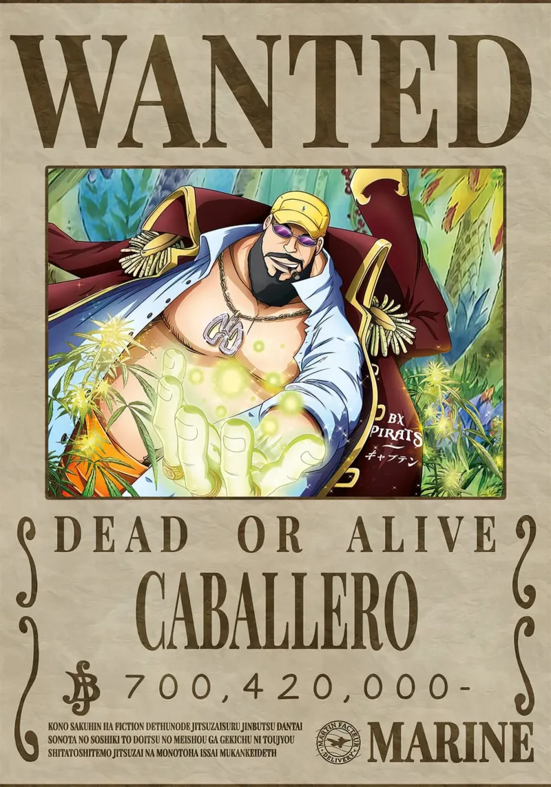 Cercasi Caballero2 poster da Collins Shop