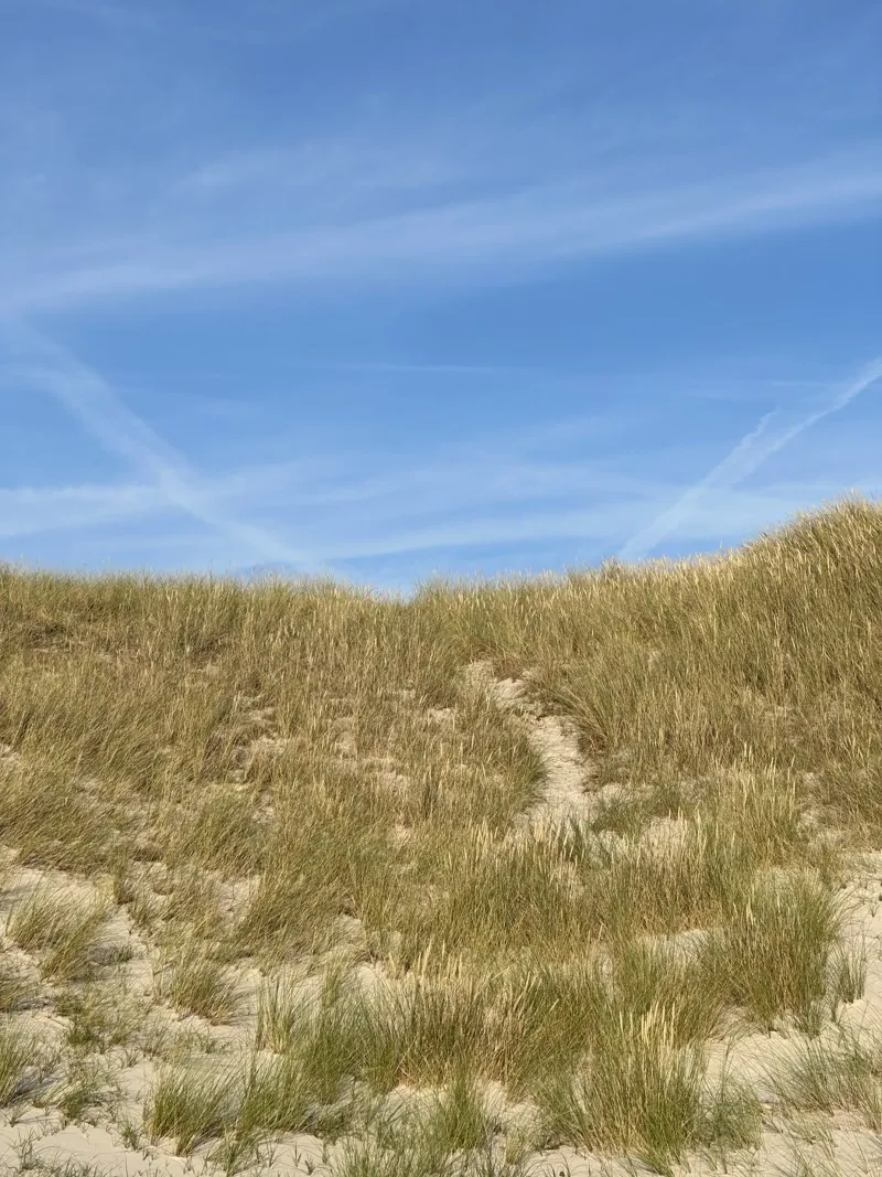 Danish Dunes poster met houten frame van frame & focus
