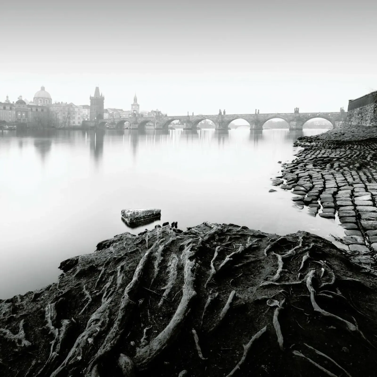 Vltava River Study 8 - Prag 2020 pellicola backlit da Håggard Photography | Ronny Behnert