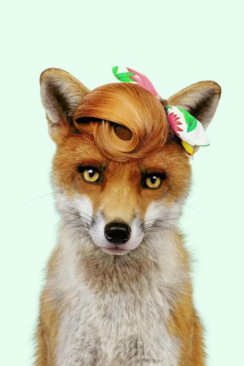 Mis Foxy carta hahnemühle da Paul Fuentes Design