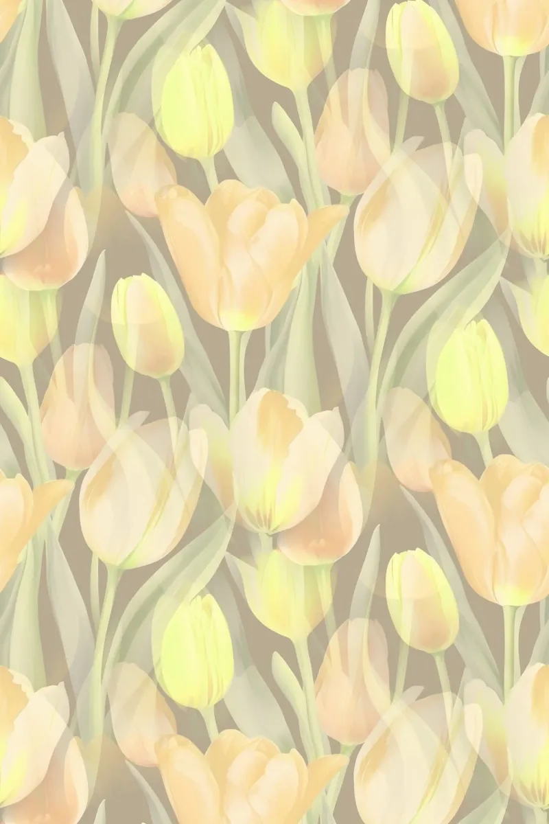 Tulipani gialli pellicola backlit da SilverPegasus