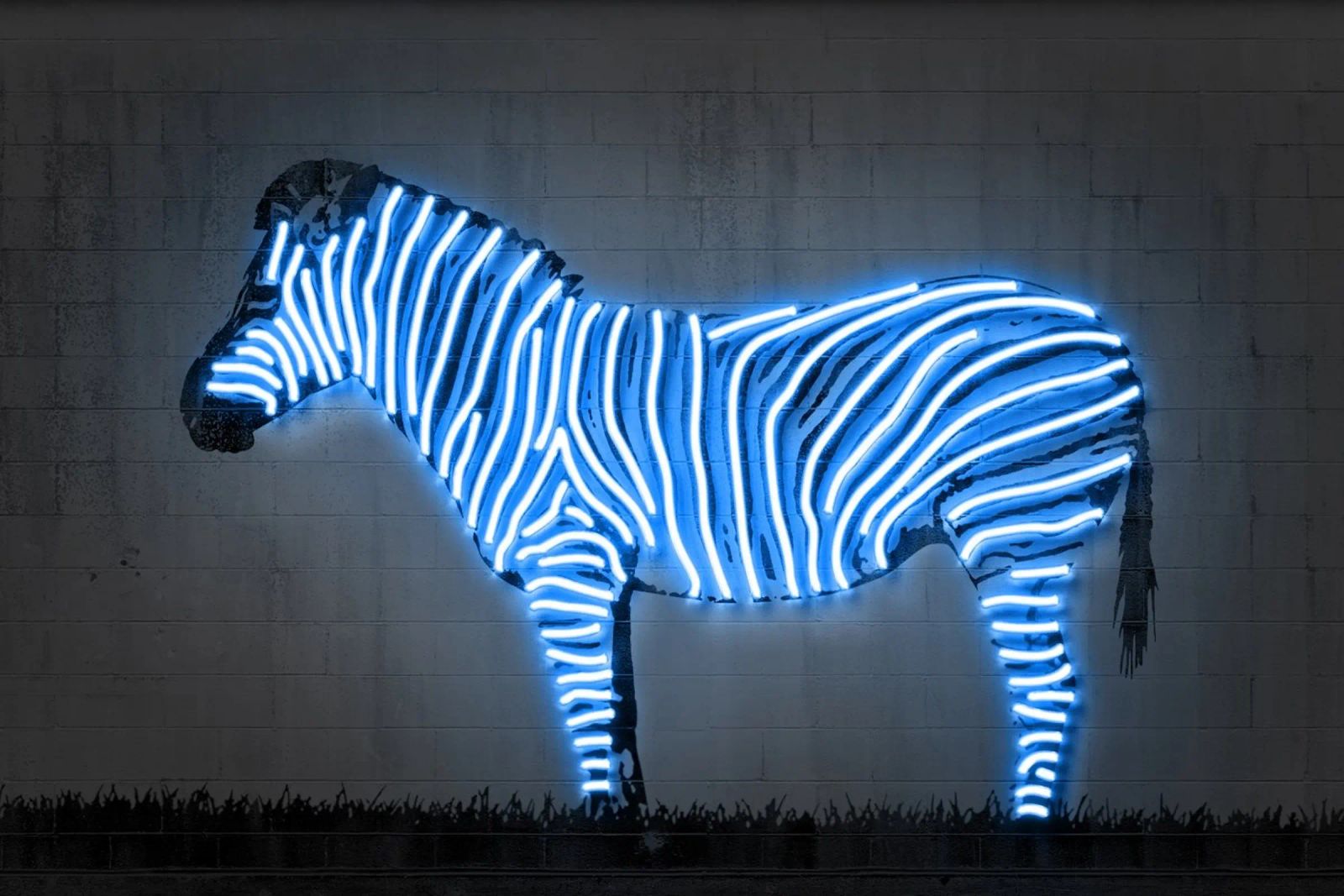 Zebra poster avec cadre en aluminium de Octavian