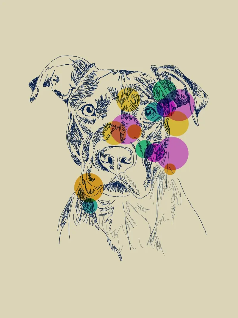 Pitbull Pop pellicola backlit da Indigo Rain