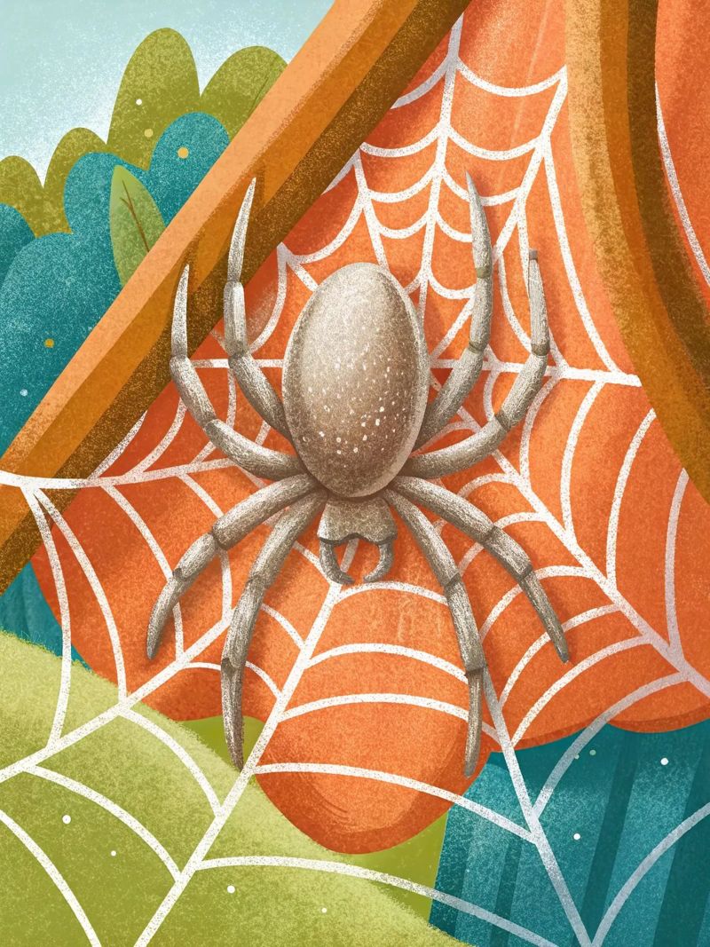 La petite araignée poster de BABY ART PRINTS