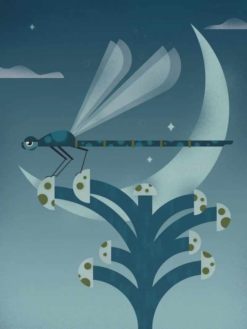 Les Petites Bestioles - Libellula al chiaro di luna poster con telaio in alluminio da 2fevrierArtStudio