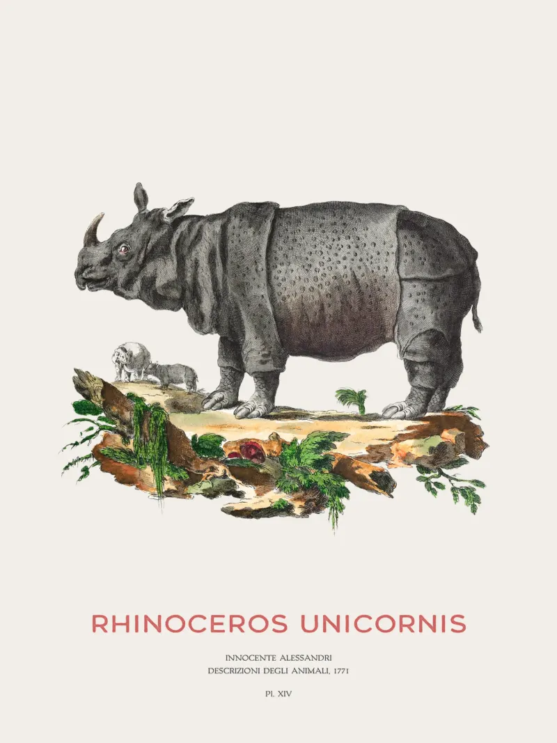 Rinoceronte indiano Arte retrò poster con telaio in plastica da Vintagrafica