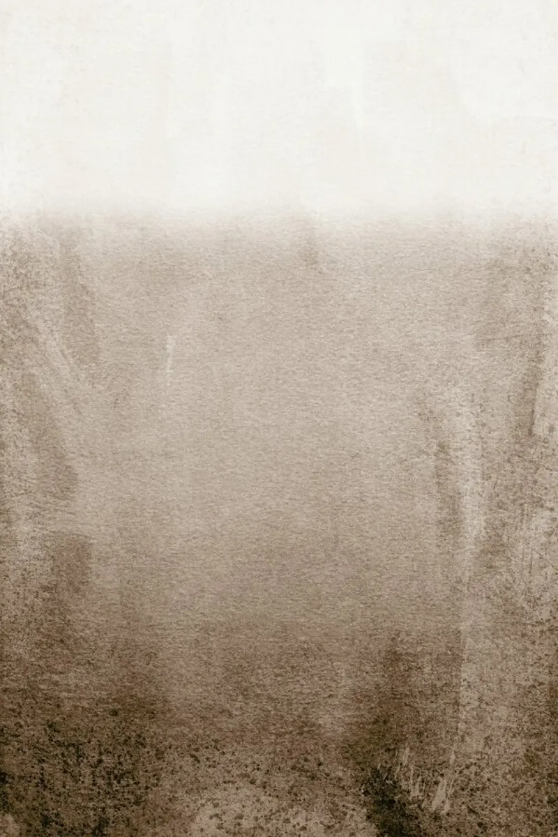 Fading Brown pellicola backlit da Monika Strigel