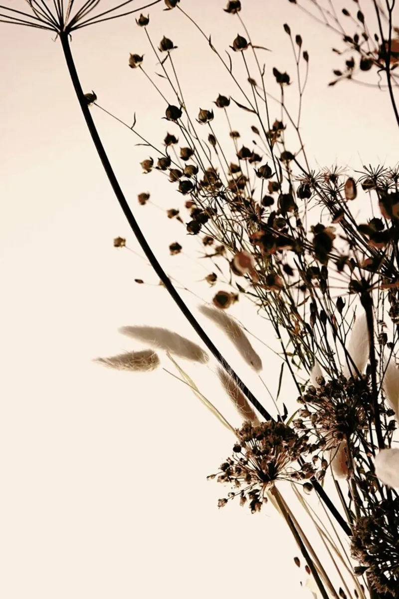 Dried Flower Bouquet 2 hahnemühle by Monika Strigel