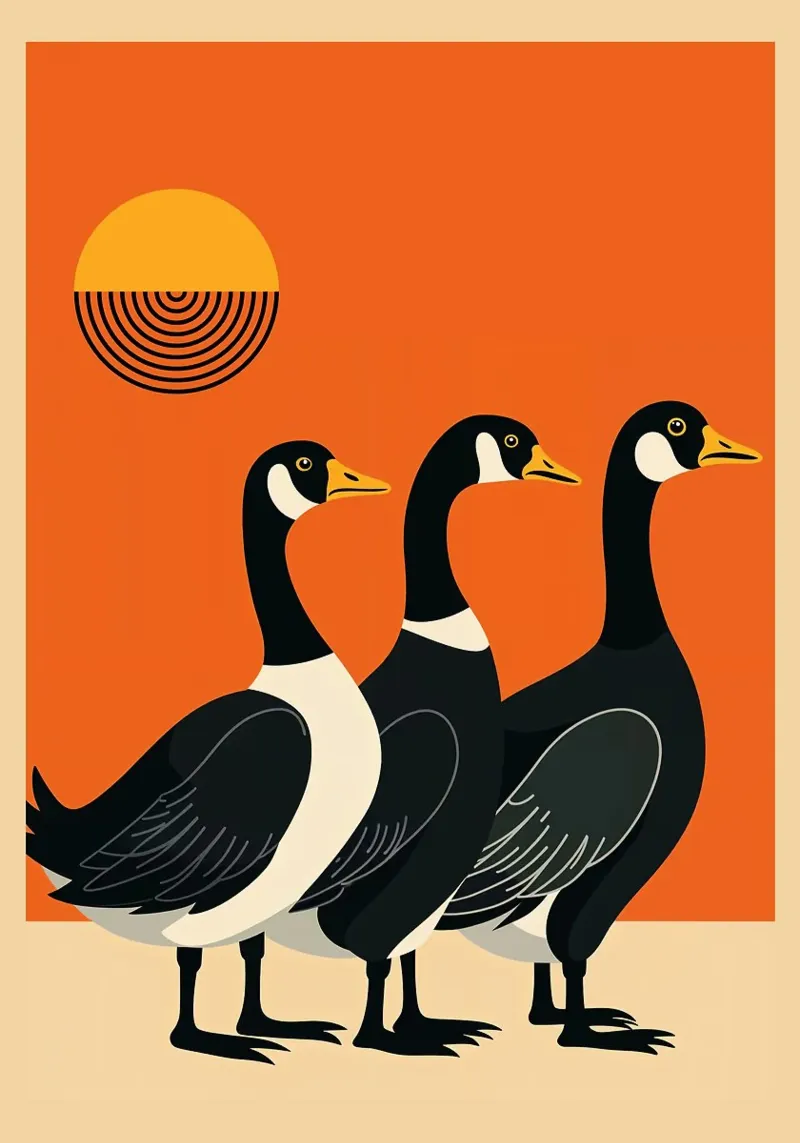 oche uccelli tramonto sole silhouette natura poster con telaio in plastica da Dale Edward YoungJr