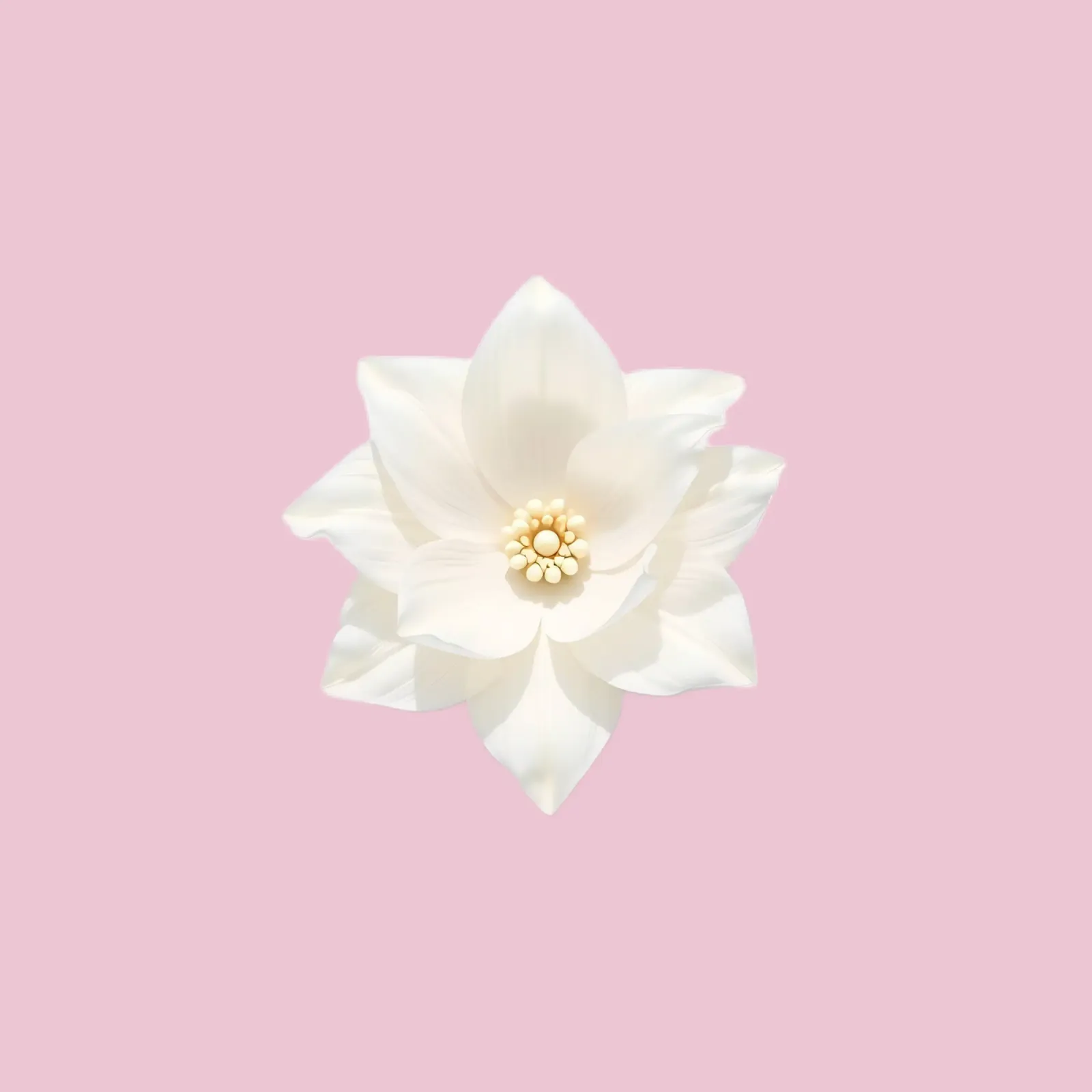 Delicato fiore bianco con petali intricati poster da DesignDoodle