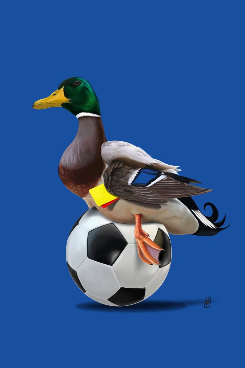 Fowl (Wordless) poster de Rob Art | Illustration