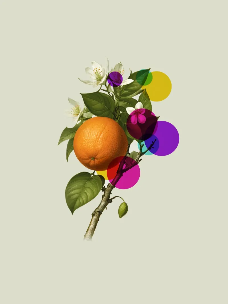 Orange Botanical Art pellicola backlit da Indigo Rain